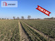 Rolny na sprzedaż - Zawada, Pruszcz, Świecki, 6108 m², 265 000 PLN, NET-222220