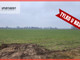Rolny na sprzedaż - Wielki Wełcz, Grudziądz (Gm.), Grudziądzki (Pow.), 35 400 m², 205 000 PLN, NET-406040