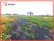 Rolny na sprzedaż - Krojanty, Chojnice, Chojnicki, 1507 m², 159 000 PLN, NET-549005