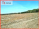 Rolny na sprzedaż - Małomin, Tłuchowo, Lipnowski, 68 400 m², 320 000 PLN, NET-827118