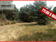 Rolny na sprzedaż - Koronowo, Bydgoski, 42 410 m², 2 120 000 PLN, NET-386453