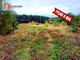 Rolny na sprzedaż - Stare Rybitwy, Bobrowniki, Lipnowski, 36 673 m², 1 230 000 PLN, NET-850283