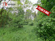 Leśne na sprzedaż - Stary Kobrzyniec, Rogowo, Rypiński, 93 200 m², 700 000 PLN, NET-621596
