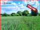 Rolny na sprzedaż - Piastoszyn, Kęsowo, Tucholski, 4183 m², 199 000 PLN, NET-983025