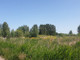 Rolny na sprzedaż - Międzywodzie, Dziwnów, Kamieński, 1014 m², 205 000 PLN, NET-ARD00634