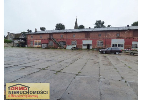 Komercyjne na sprzedaż - Barnim, Warnice, Pyrzycki, 1600 m², 599 000 PLN, NET-134/ARM/OOS-1928