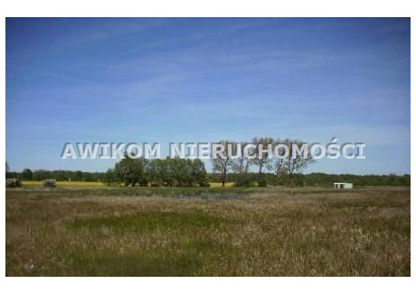 Działka na sprzedaż - Basin, Baranów, Grodziski, 3900 m², 214 500 PLN, NET-AKM-GS-52530-4