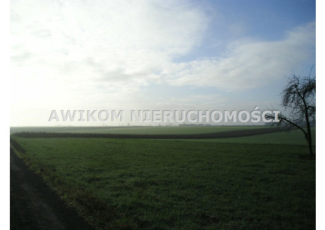 Działka na sprzedaż - Nowy Kawęczyn, Skierniewicki, 4400 m², 110 000 PLN, NET-AKM-GS-51222-11