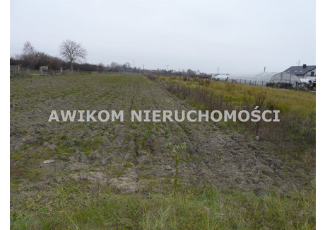 Działka na sprzedaż - Skierniewice, Skierniewice M., 1310 m², 222 700 PLN, NET-AKM-GS-54631-101