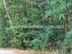 Leśne na sprzedaż - Książenice, Grodzisk Mazowiecki, Grodziski, 4000 m², 600 000 PLN, NET-AKM-GS-54853-2