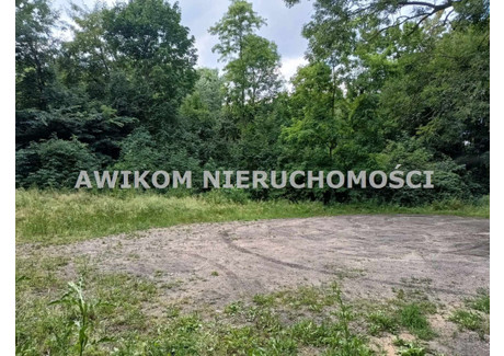 Działka na sprzedaż - Strobów, Skierniewice, Skierniewicki, 17 095 m², 499 900 PLN, NET-AKS-GS-55210-3