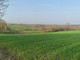 Rolny na sprzedaż - Kawle, Gowidlino, 3200 m², 120 000 PLN, NET-113