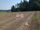 Rolny na sprzedaż - Szemudzka Kowalewo, Szemud, Wejherowski, 22 000 m², 468 000 PLN, NET-926843078