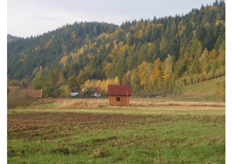 Działka na sprzedaż - Praczka, Gaboń, Stary Sącz, Nowosądecki, 4411 m², 300 000 PLN, NET-88/12083/OGS