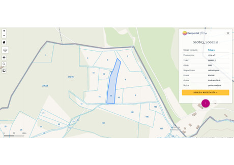 Działka na sprzedaż - Kudowa-Zdrój, Kłodzki, 7270 m², 1 904 740 PLN, NET-55/12083/OGS