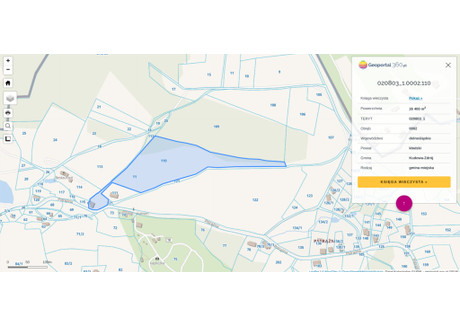 Działka na sprzedaż - Kudowa-Zdrój, Kłodzki, 26 400 m², 6 916 800 PLN, NET-58/12083/OGS