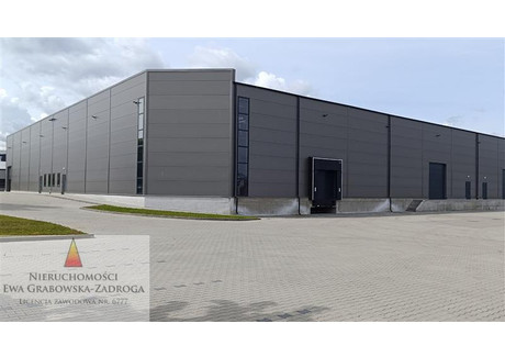 Magazyn do wynajęcia - Nowatorów Kokoszki, Gdańsk, 5000 m², 160 000 PLN, NET-GE01648