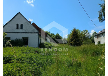 Działka na sprzedaż - Mieszkowice, Prudnik, Prudnicki, 5040 m², 150 000 PLN, NET-205/17022/OGS