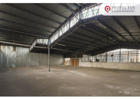 Magazyn do wynajęcia - Letnica, Gdańsk, 1470 m², 32 340 PLN, NET-75