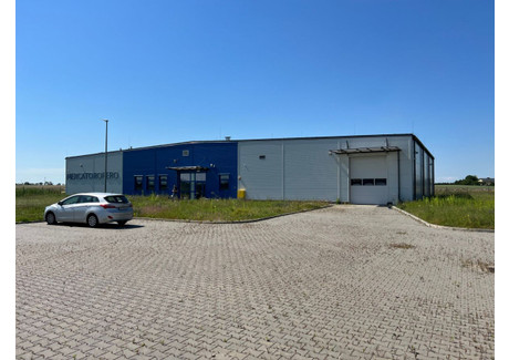 Fabryka, zakład na sprzedaż - Włocławek, 960 m², 5 990 000 PLN, NET-836868996