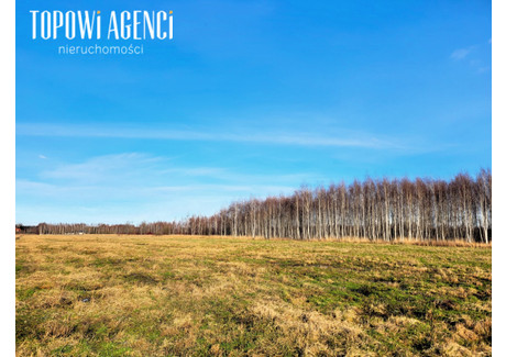 Działka na sprzedaż - Mazowiecka Książenice, Grodzisk Mazowiecki (gm.), Grodziski (pow.), 21 623 m², 3 000 000 PLN, NET-TOP280843