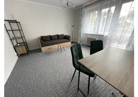 Mieszkanie do wynajęcia - Ludwika Zamenhofa Helenka, Zabrze, 25 m², 1300 PLN, NET-s480