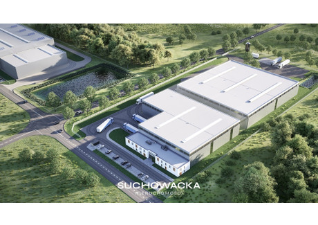 Magazyn, hala do wynajęcia - Sadowa Świebodzin, Świebodziński, 4800 m², 19 000 Euro (81 130 PLN), NET-7/14248/OHW