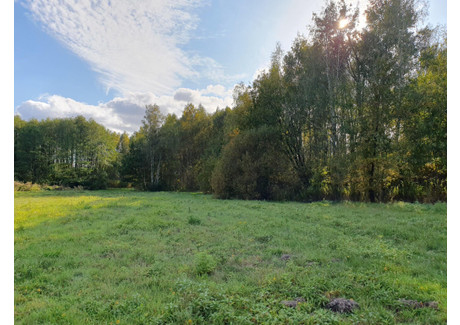 Działka na sprzedaż - Nowa Bukówka, Żabia Wola, Grodziski, 8700 m², 410 000 PLN, NET-6