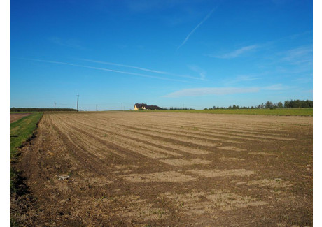 Działka na sprzedaż - Głupianka, Kołbiel (Gm.), Otwocki (Pow.), 15 008 m², 300 000 PLN, NET-8