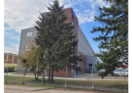 Biurowiec do wynajęcia - Magazynowa Stary Fordon, Fordon, Bydgoszcz, 587,03 m², 29 351 PLN, NET-37