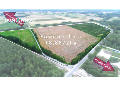 Działka na sprzedaż - Dobrów, Tuczępy, Buski, 188 872 m², 13 221 040 PLN, NET-DOM406670