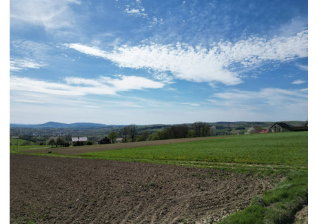 Działka na sprzedaż - Siedliska Bobowa, Gorlicki, 1300 m², 78 000 PLN, NET-DUD-GS-101