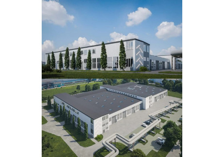 Hala do wynajęcia - Lublin, 2740 m², 82 200 PLN, NET-757592