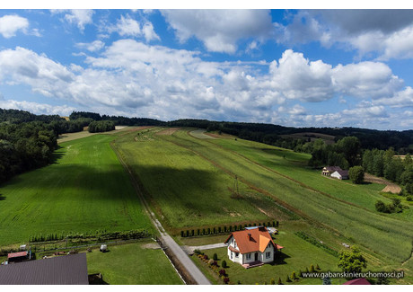 Działka na sprzedaż - Olszyny, Rzepiennik Strzyżewski, Tarnowski, 6000 m², 199 000 PLN, NET-22/GBN/DZS-95