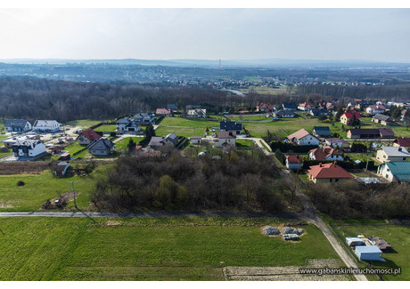 Działka na sprzedaż - Pawęzów, Lisia Góra (gm.), Tarnowski (pow.), 3900 m², 389 000 PLN, NET-17/GBN/DZS-81