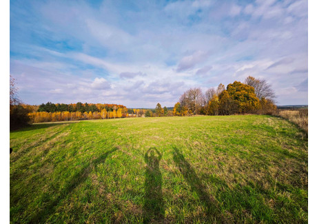 Działka na sprzedaż - Starowiejska Kiełkowice, Ogrodzieniec, Zawierciański, 18 520 m², 990 000 PLN, NET-335911