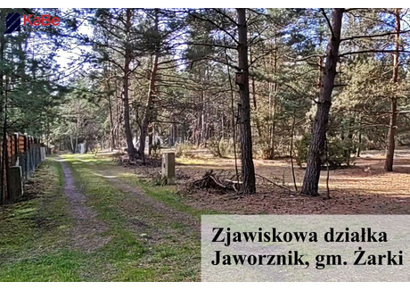 Działka na sprzedaż - Jaworznik, Żarki, Myszkowski, 6970 m², 210 000 PLN, NET-KABE-GS-206