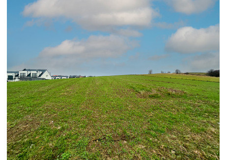 Działka na sprzedaż - Okrężna Gostyń, Gostyński (pow.), 1210 m², 239 000 PLN, NET-110