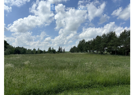 Działka na sprzedaż - Będargowo, Kołbaskowo, Policki, 14 835 m², 880 000 PLN, NET-MRH20586