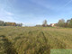 Rolny na sprzedaż - Racimierz, Stepnica, Goleniowski, 996 m², 34 860 PLN, NET-MNI21837
