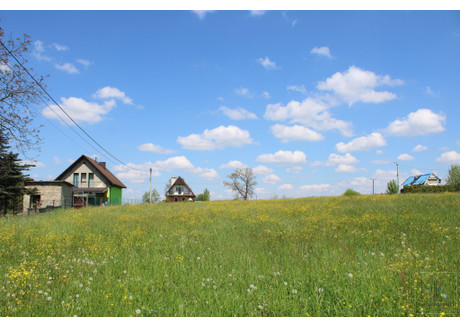 Działka na sprzedaż - Pierzchów, Gdów (Gm.), Wielicki (Pow.), 6500 m², 645 000 PLN, NET-151