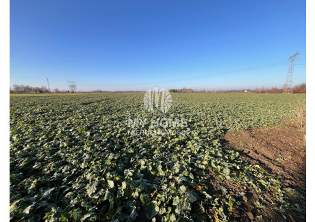 Działka na sprzedaż - Baranów, Grodziski, 31 900 m², 797 500 PLN, NET-6/15771/OGS