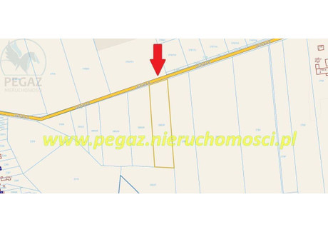 Działka na sprzedaż - Bolesława Leśmiana Mosina, Poznański, 8202 m², 1 205 694 PLN, NET-1166700880