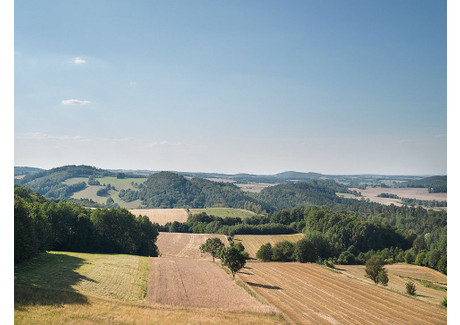 Działka na sprzedaż - Klecza, Wleń, Lwówecki, 5600 m², 450 000 PLN, NET-743570