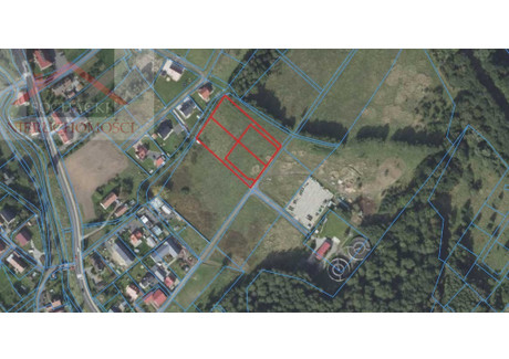 Działka na sprzedaż - Olszyna, Lubański, 1142 m², 71 300 PLN, NET-58/4309/OGS