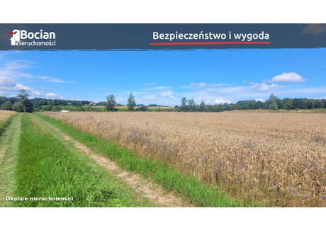 Działka na sprzedaż - Kczewo, Przodkowo, Kartuski, 1000 m², 240 000 PLN, NET-BU954559