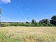 Rolny na sprzedaż - Skurgwy, Rogóźno, Grudziądzki, 20 000 m², 199 000 PLN, NET-BAJ-GS-5303