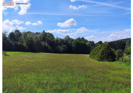 Działka na sprzedaż - Sławkowice Wielicki, 1000 m², 190 000 PLN, NET-48975