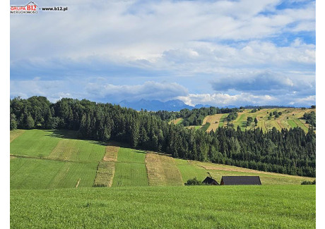 Działka na sprzedaż - Dursztyn Nowotarski, 8075 m², 1 575 000 PLN, NET-48958