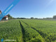 Rolny na sprzedaż - Akacjowa Nowe Faszczyce, Warszawski Zachodni, 3422 m², 515 000 PLN, NET-26791